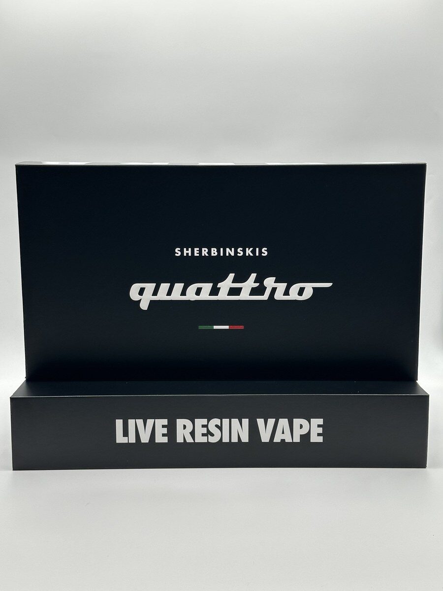 SHERBINSKIS QUATTRO photo 3