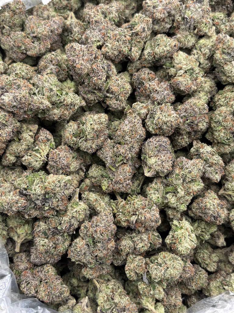 Bubblegum runtz indoor photo 2