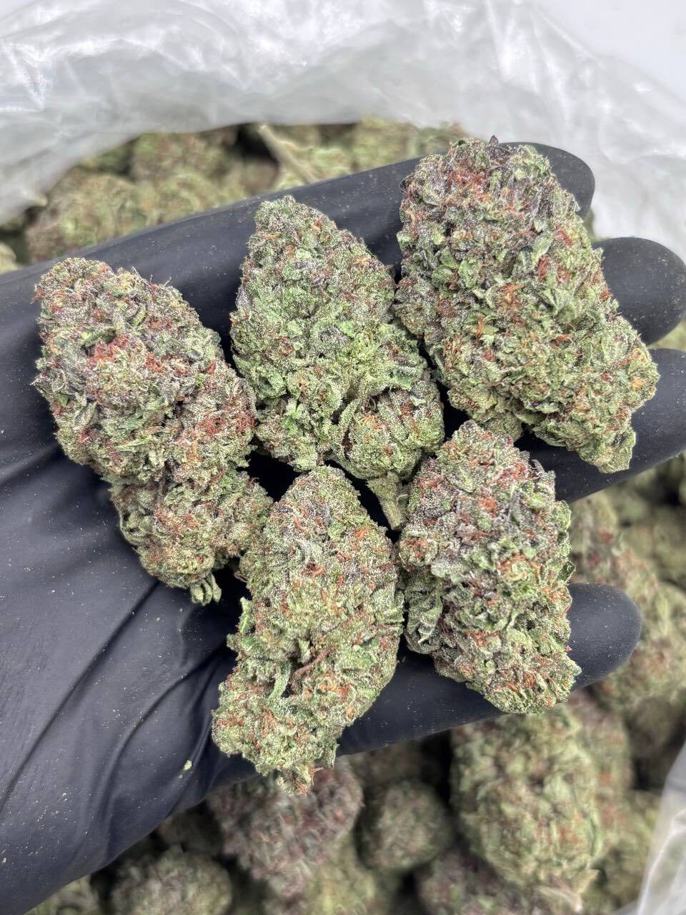 Blue cookies AAA+