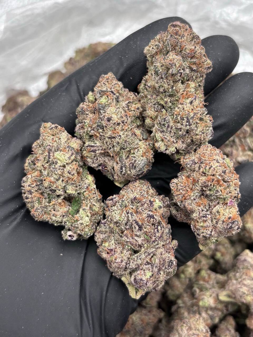 Hashburger indoors