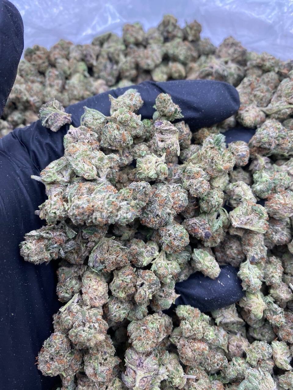 Space rocks indoor smalls