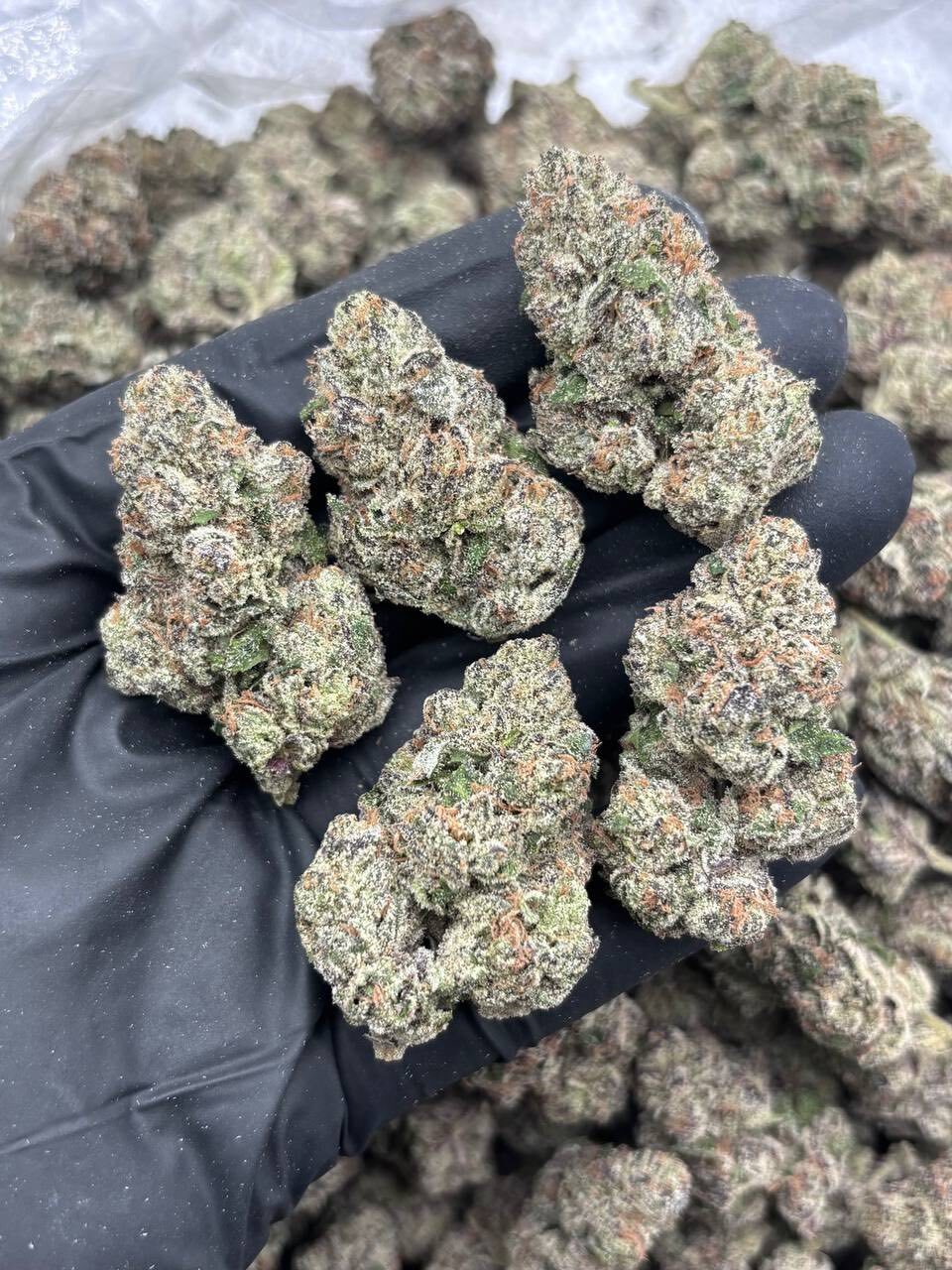 Cosmic pop rocks indoor