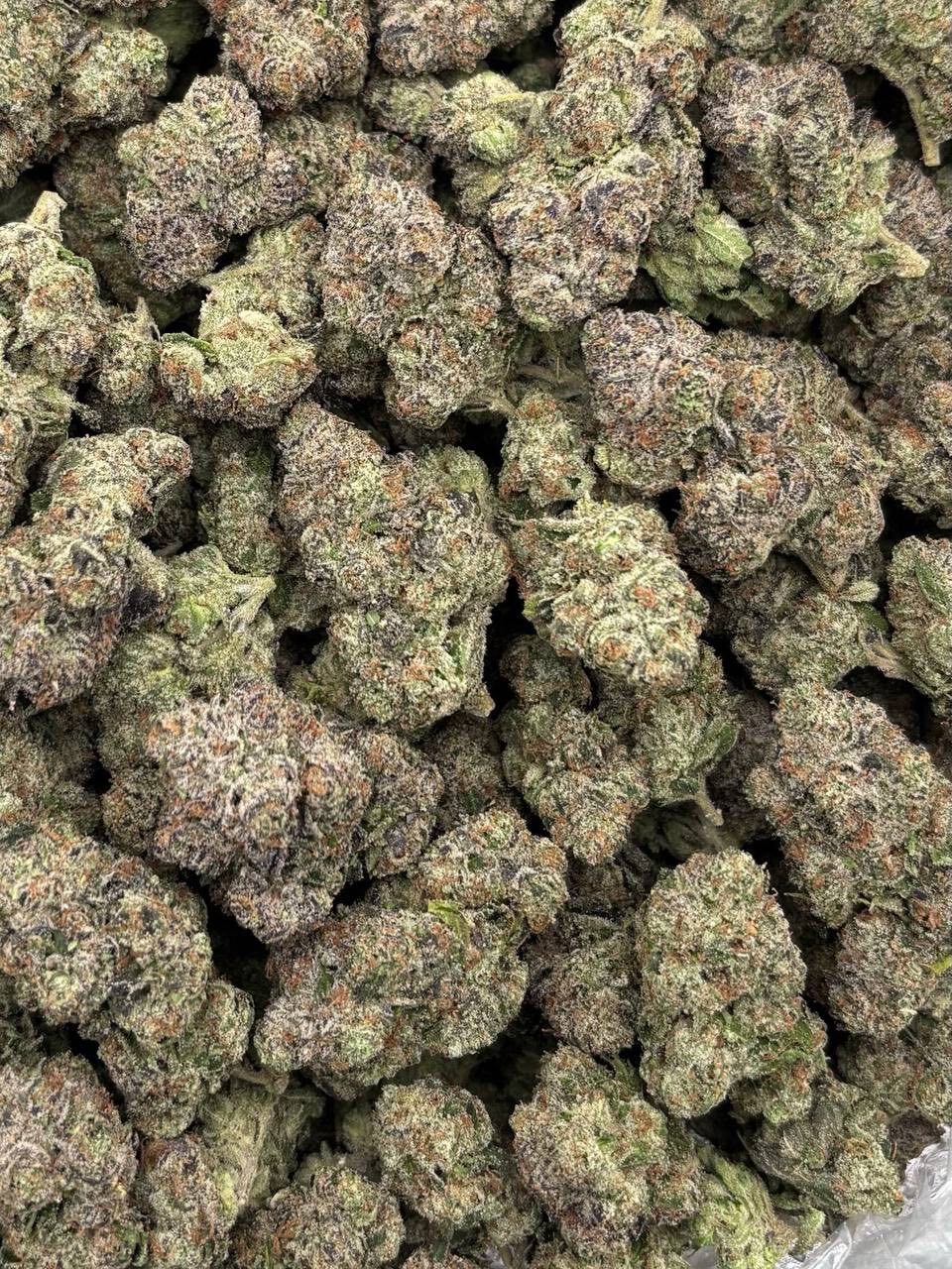Black cherry popper indoor 🍒 photo 2