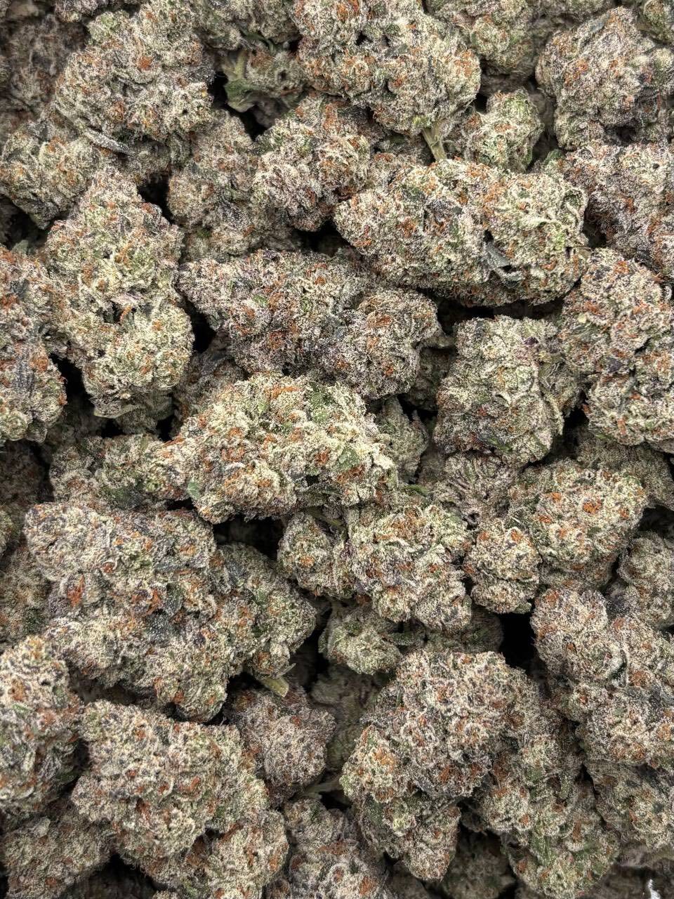 Fruity bubbles indoors photo 2