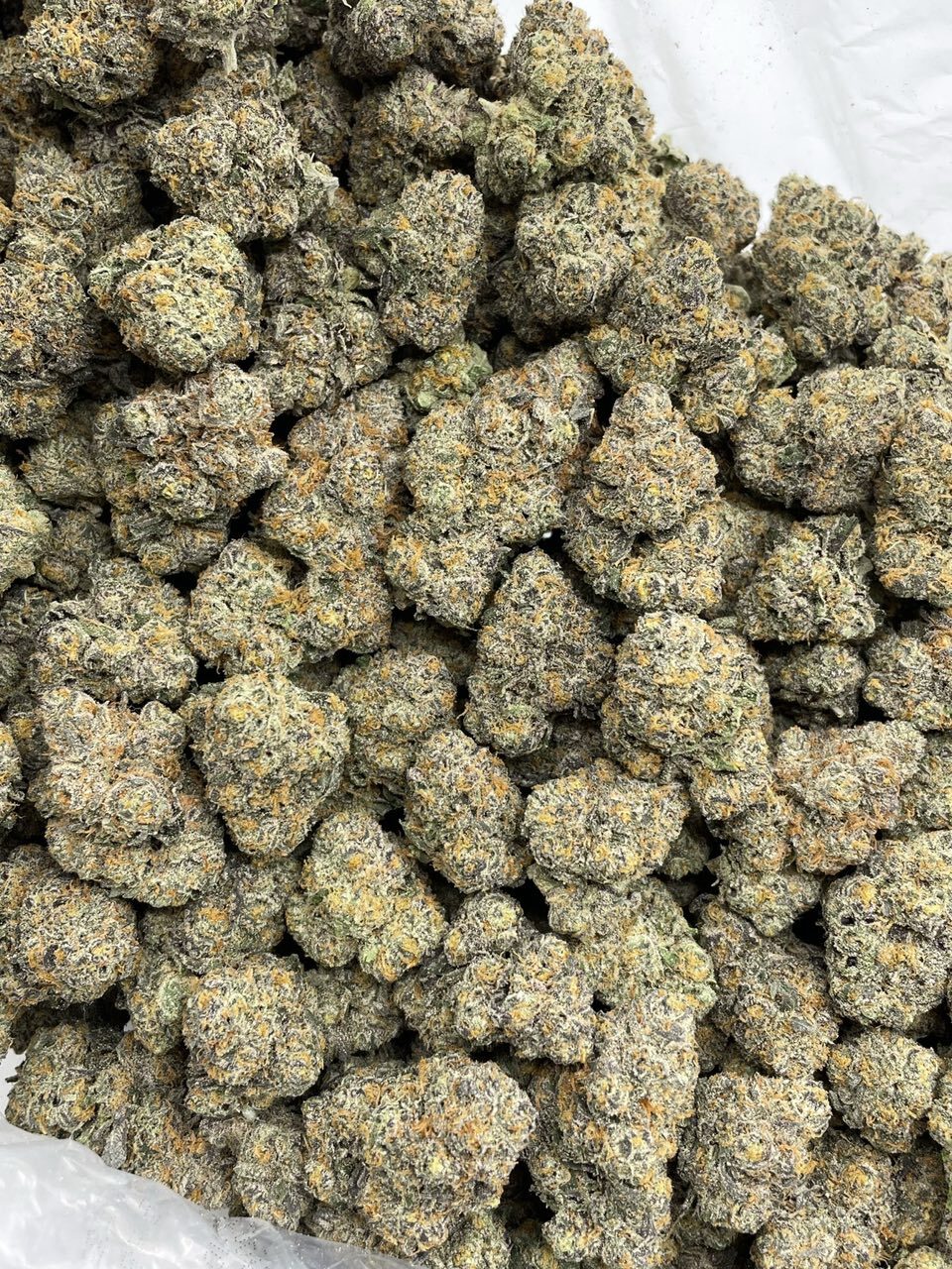 Knockout indoors 🥊 photo 2