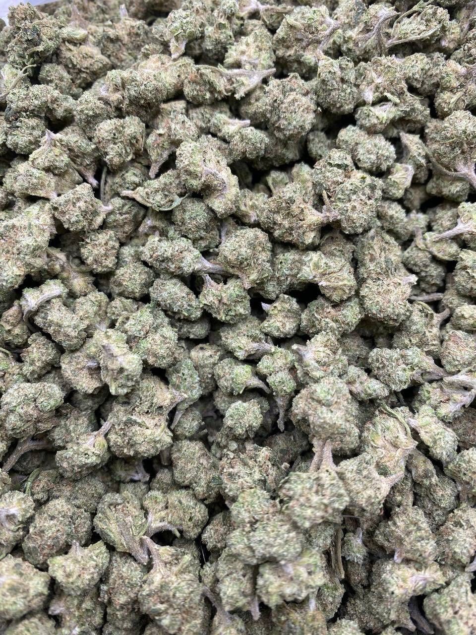 Pink runtz indoor smalls photo 2