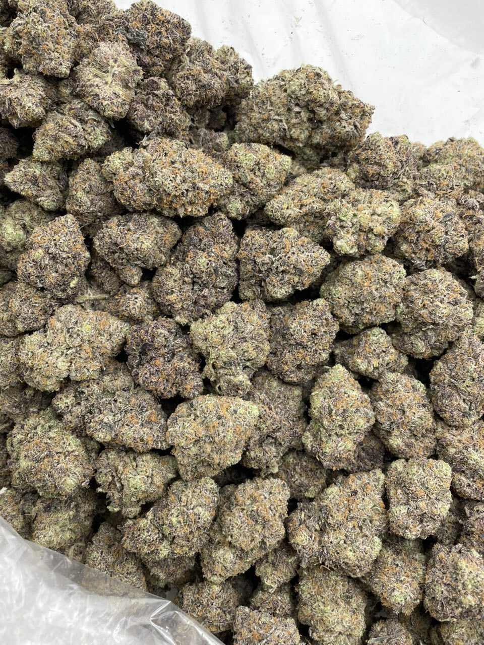 Peanut Butter Zkittles indoors photo 2