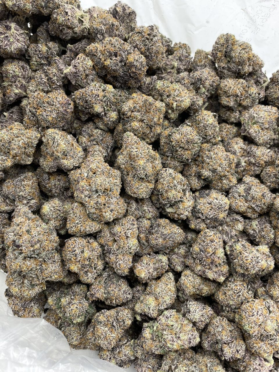 Mystery Gumball indoors ❔🍭 photo 2