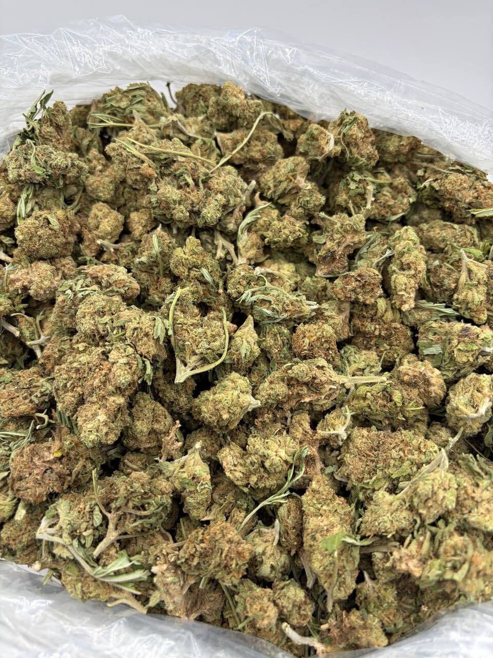 Sour diesel lows