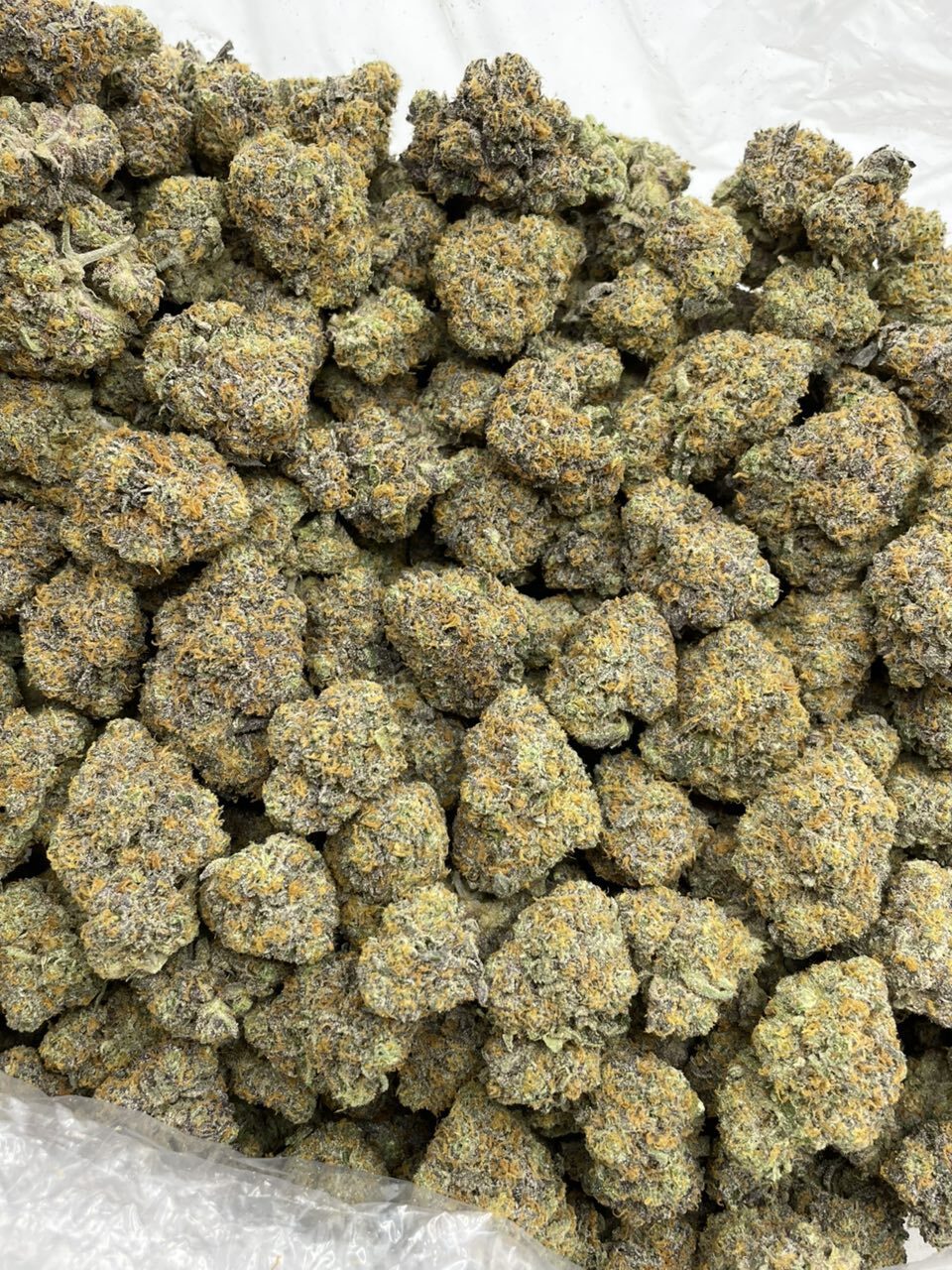 Rainbow Lucky Charms indoors 🌈🍀🎩 photo 2