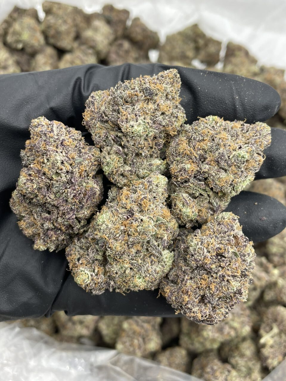 Peanut Butter Zkittles indoors