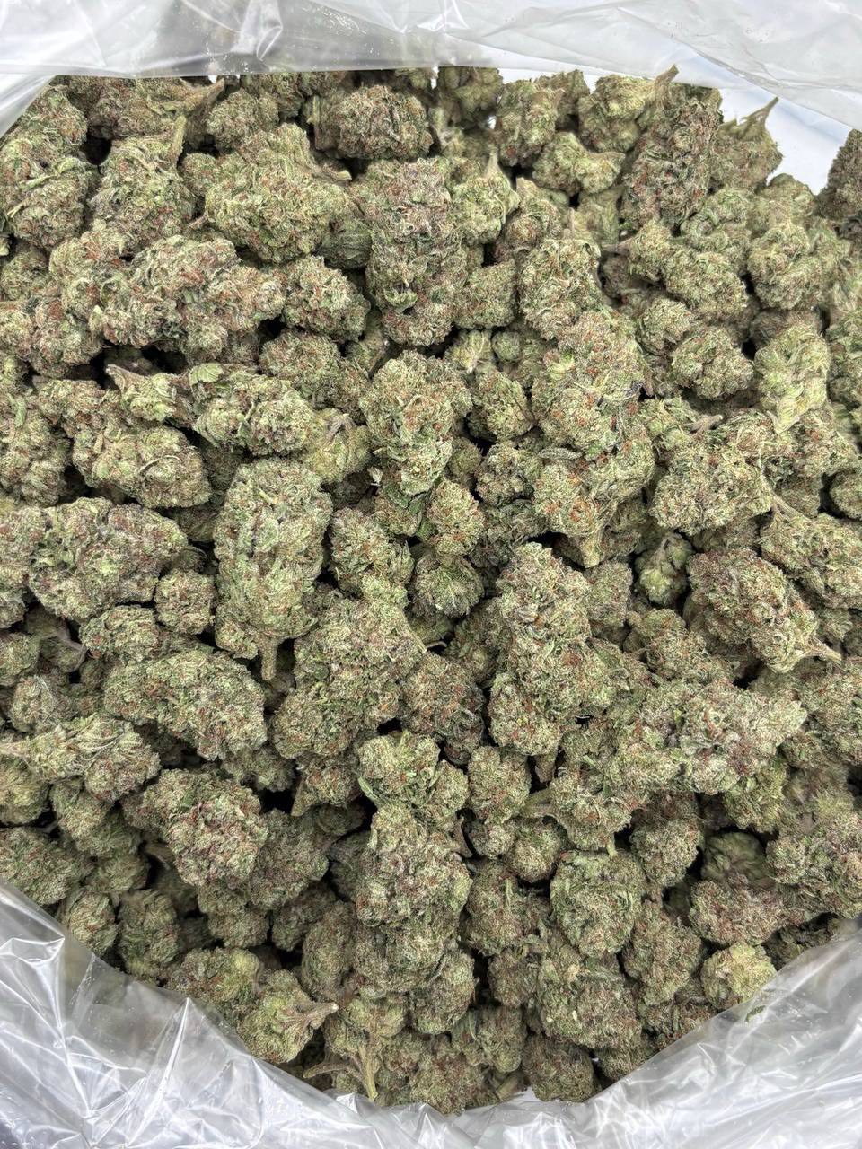 Lemon cherry 🍒 AAA+ photo 2