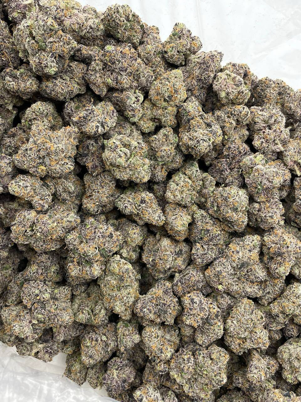 Peach runtz indoors 🔥 photo 6