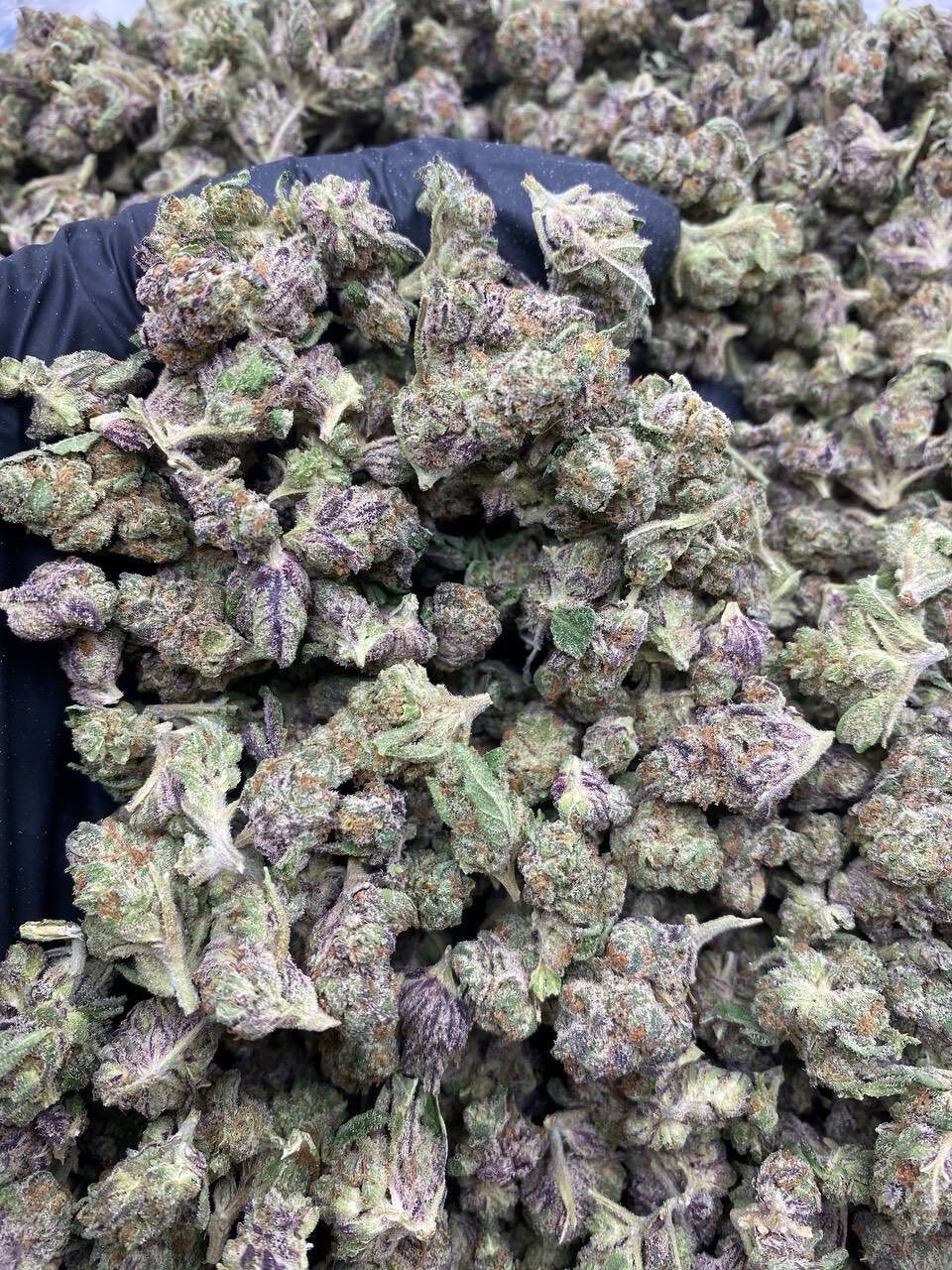 Kept secret indoor smalls