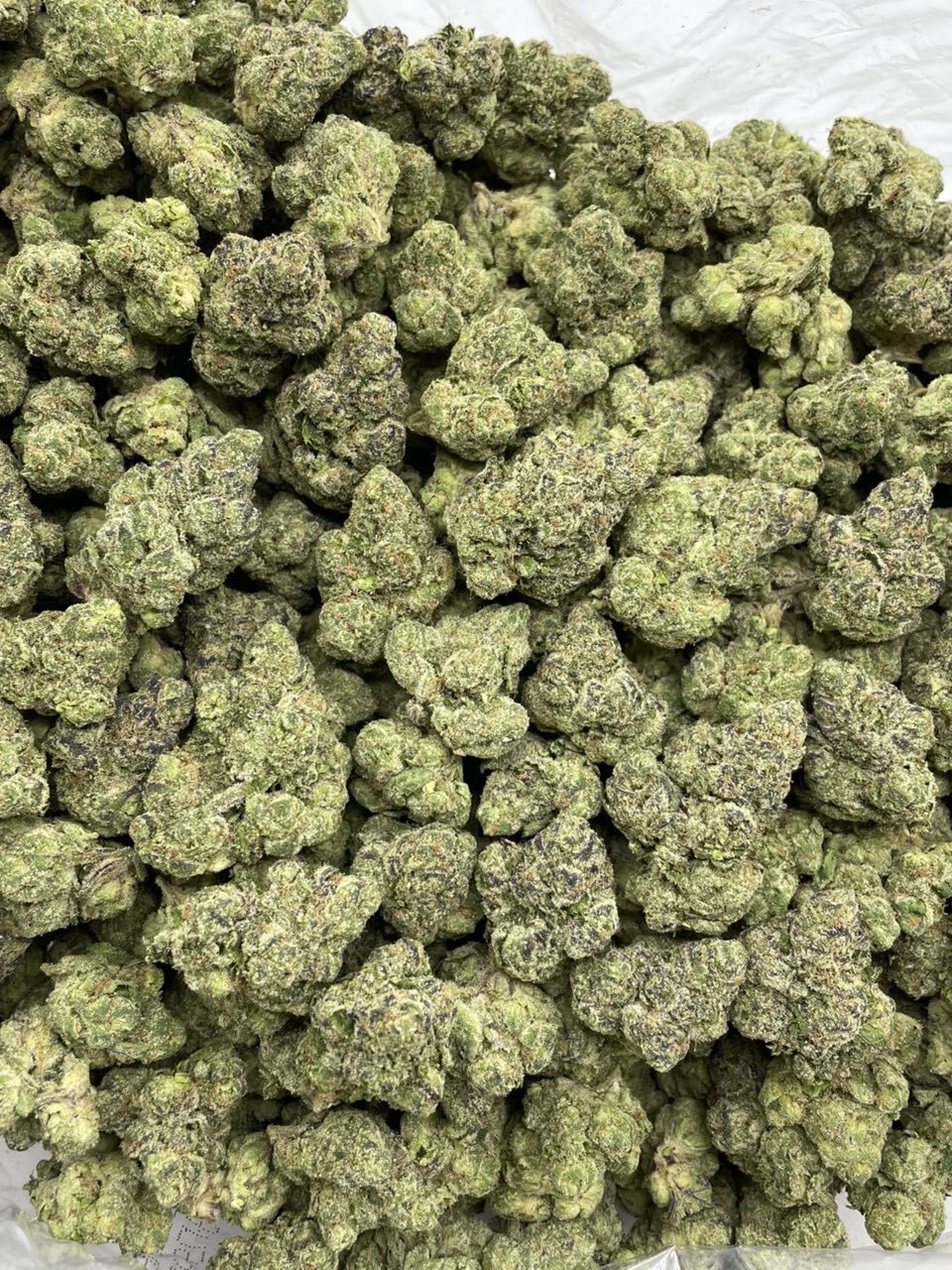 Frozen Funfetti mixed lights photo 2