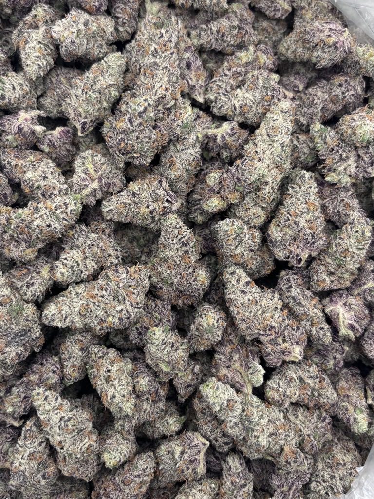 Candy cartel indoors