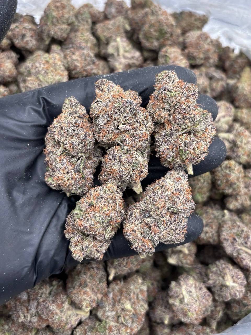 Cotton candy indoors 🍬
