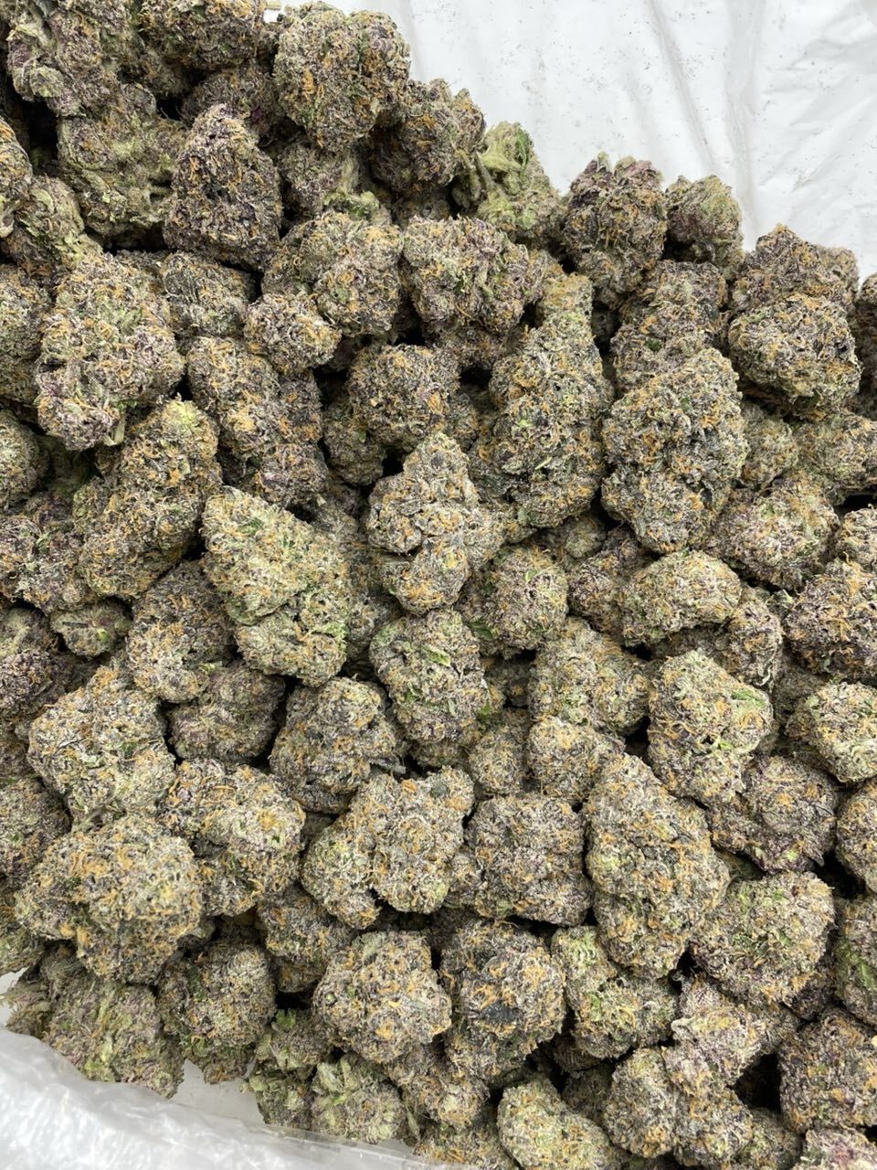 Atomic blow popz indoor photo 5