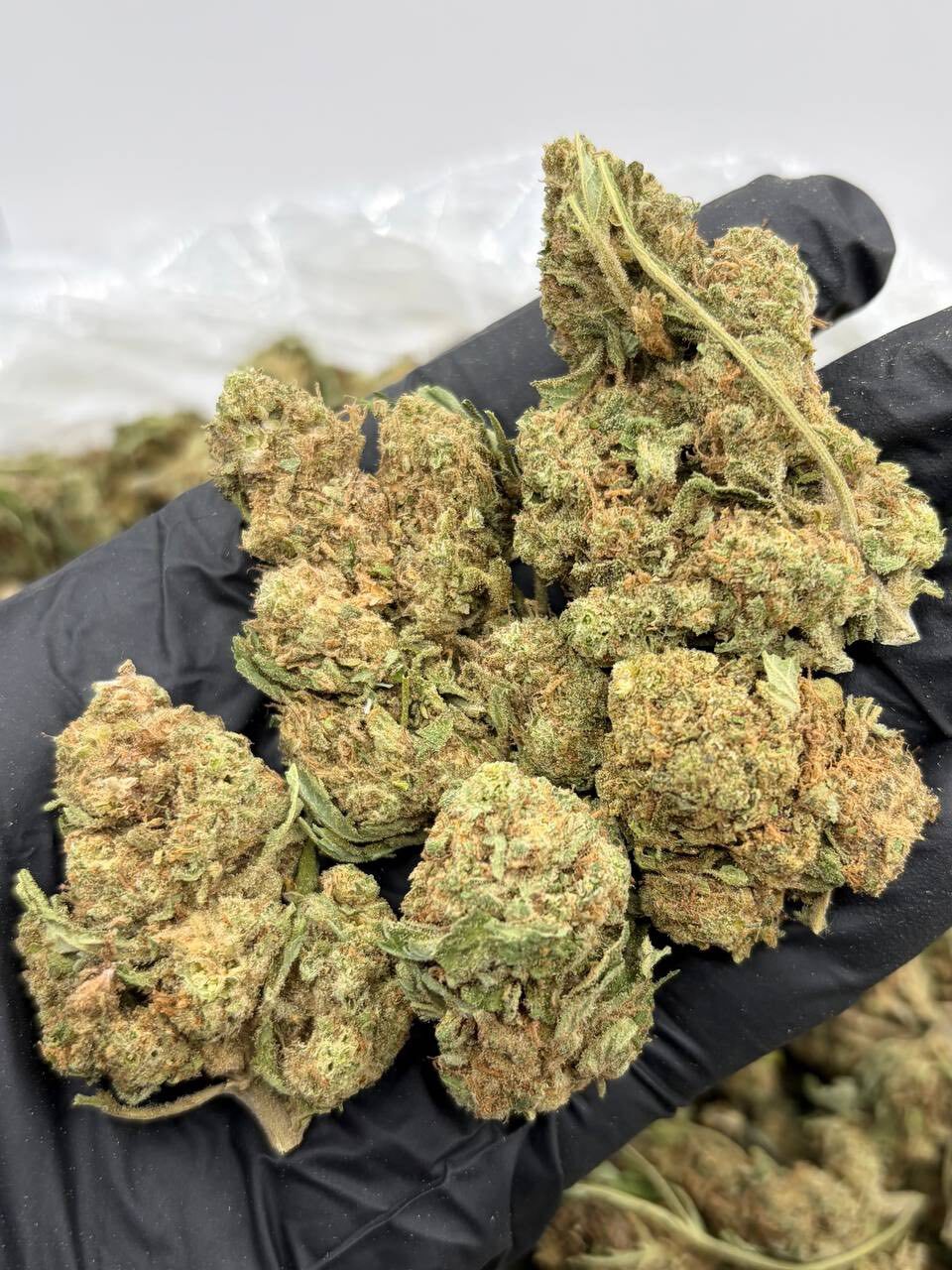 Chemdawg lows photo 4