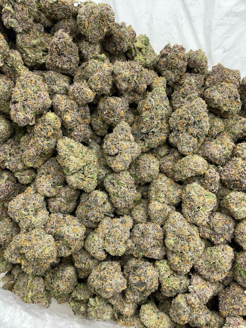 Atomic blow popz indoor photo 6