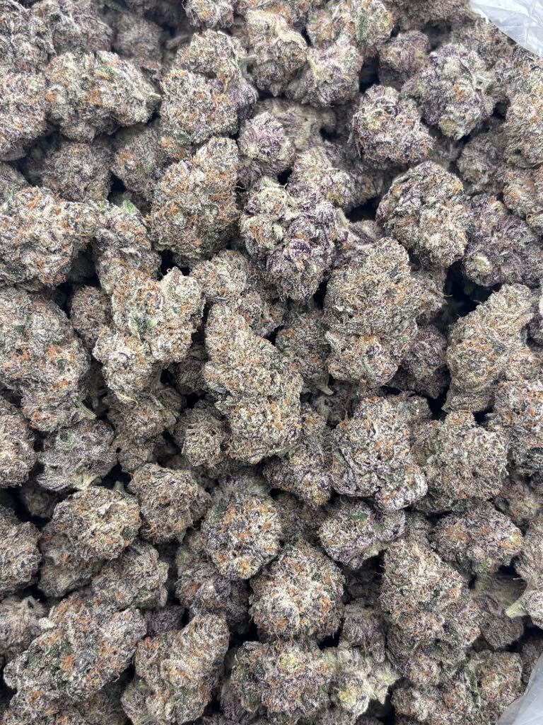 Space Nerdz indoors 🔭🤓 photo 2