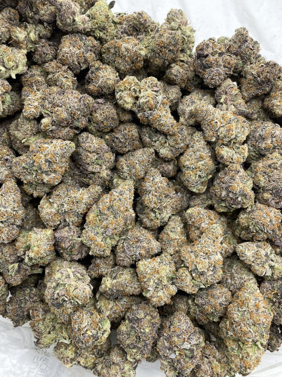 Sour Orange Pez indoors 🍊🍭 photo 2