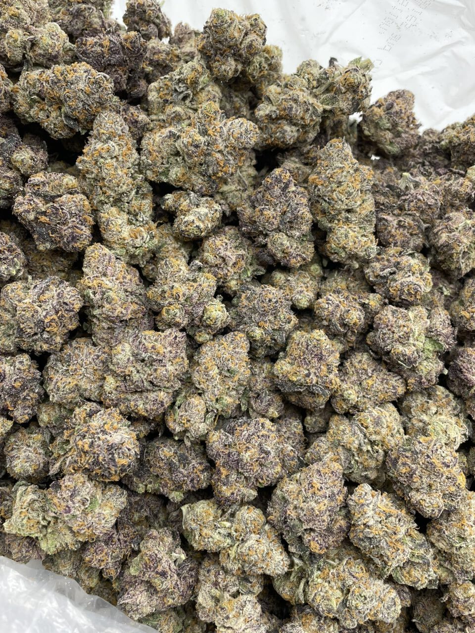Grape Slurty indoors photo 2