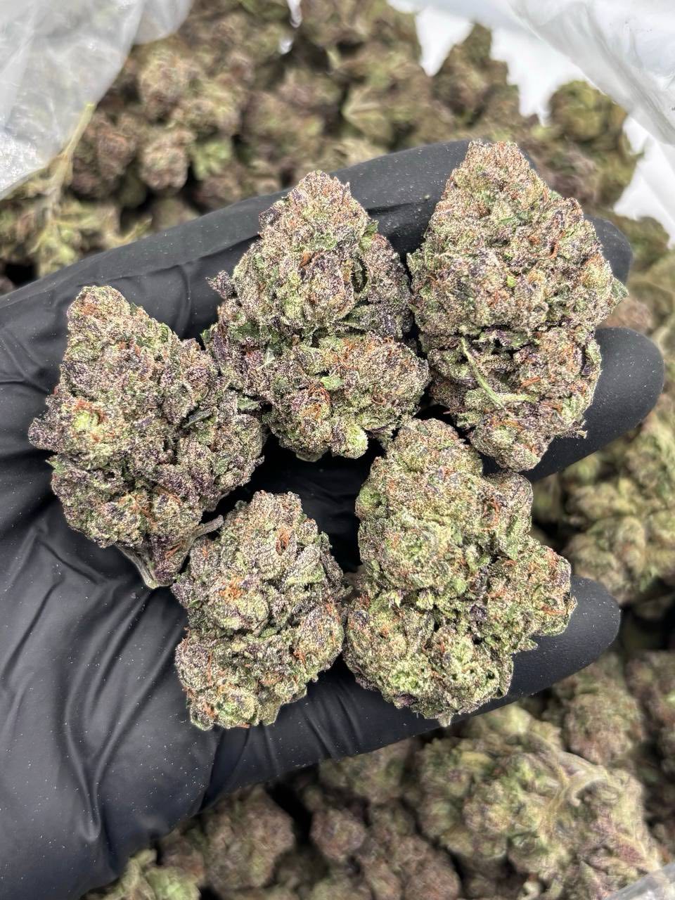 Grape cotton candy mixed light 🍇🍬
