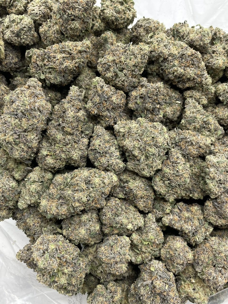Gorilla Gas Mask indoors